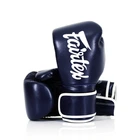 Боксерські рукавиці Fairtex BGV14
