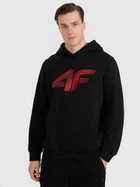 Худі чоловіче 4F 4FWMM00TSWSM1766-020S L Чорне (5905700401209)