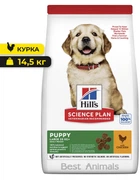 Сухий корм для цуценят великих порід Hill's Science Plan Puppy Large Breed з куркою