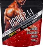 Амінокислота Power Pro BCAA 500 г