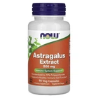 Натуральна добавка Now Foods Astragalus 70% 500 мг Капсули