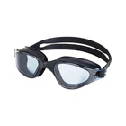 Очки для плавания взрослые/подростковые Newt Quest Swimming серые NE-PL-800-G