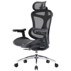 Офисное кресло Sihoo DORO C300L Mesh (m484388)