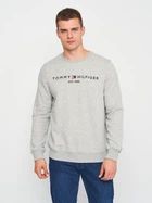 Свитшот мужской Tommy Hilfiger 11201.2 2XL Серый
