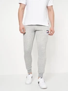 Спортивные штаны мужские Tommy Hilfiger 10963.2 2XL Серые