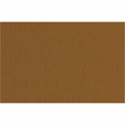 Бумага для пастели B2 Fabriano Tiziano 50x70см 160г/м2 коричневый caffe среднее зерно (8001348157663)
