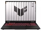 Ноутбук ASUS TUF Gaming A16 FA608UM (FA608UM-NS73) 32GB/1TB CUSTOM