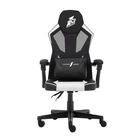 Игровое кресло 1stPlayer P01 Black White (P01-BKWH)
