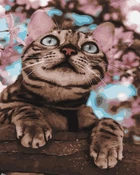Картина за номерами Пухнастий бешкетник 40х50 см Rainbow Art GX45061