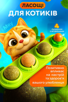 Кошачья мята для кошек 4в1, лакомство - шарики сладости для котов из мататаби для котов и леденец с витаминами