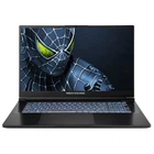 Ноутбук Dream Machines CI9-14900HX 17" 32GB/1TB (RG5050-17UA24)