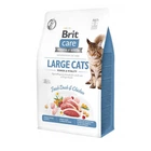 Сухой корм для кошек Brit Care Cat Grain Free Large Power Vitality для взрослых кошек больших пород с уткой и курицей