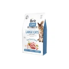 Сухий корм для кішок Brit Care Cat Grain Free Large Power Vitality