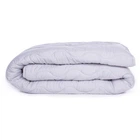Одеяло MirSon антиаллергенное 3M Thinsulate всесезонное №9002 Eco Light Gray 220x240 см (2200005995105) MirSon 2200005995105 894683