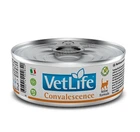 Влажный корм для кошек Farmina Vet Life Convalescence 85 г