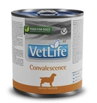 Влажный лечебный корм для собак Farmina Vet Life Convalescence для восстановления питания и выздоровления