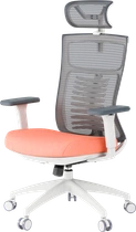 Крісло офісне OfficePro Balance OC550-W-DG-OR
