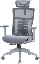 Крісло офісне OfficePro Balance OC620-G-DG-DG