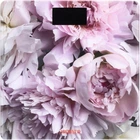 Ваги підлогові Peonies, 150кг, AAAx2 в комплекті, скло, багатокольорові ARDESTO (teh0018013)