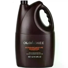 Шампунь для питания и увлажнения волос Olorchee Nourishing Moisture Extra Moist 4000 мл