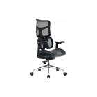 Офісне крісло Sihoo DORO S100 Mesh Black (S100-M301) Sihoo S100-M301 924058