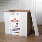 Вологий корм Royal Canin Neutered Adult для дорослих стерилізованих собак, схильних до набору зайвої ваги