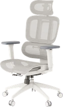 Крісло офісне OfficePro Skyline OC680-W-LG-LG