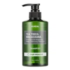 Шампунь балансирующий «Детская присыпка» 500 мл Kundal Tea Tree & Macadamia Deep Cleansing Shampoo Baby Powder