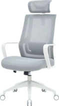 Крісло офісне OfficePro Harmony OC310-W-LG-LG