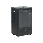 Обігрівач газовий Blue Belle 4.2 kW TMC Італія (комплект підключення з редуктором в подарунок)