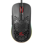Мишка GamePro GM395 RGB USB Black