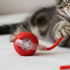 Іграшка кулька для котів та собак м'ячик з хвостиком 6*40см червоний