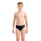 Плавки детские Arena LETTERING SWIM BRIEFS (010865-500) 14, 164 см