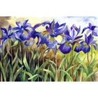 Алмазна вишивка Іриси DM-029 Алмазна мозаїка 40x30 повна зашивання, квадратні стрази, 30цветов