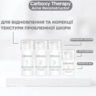 Карбоксітерапія DEMAX акне реконструктор карбокситерапія для відновлення шкіри при куперозі, акне і пост акне маленький набір 3 процедури