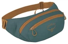 Поясна сумка Osprey Daylite Waist (Uni torrent blue)
