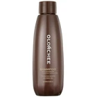 Шампунь проти лупи Olorchee Anti Dandruff Shampoo 80 мл