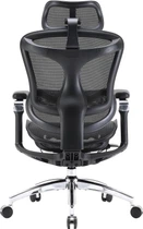 Крісло офісне Sihoo Doro C300 Pro Mesh Black (DORO-C300-PRO-M101) ( 17800 )