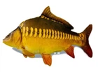 Мягкая игрушка «КОРОП Зеркальный» размер 50см, Сувенир Декор (CARP-M)