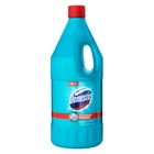 Рідина для чищення ванн Domestos Свіжість Атлантики 24 години 2 л (8718114416496)