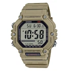 Мужские часы Casio AE-1600H-5A