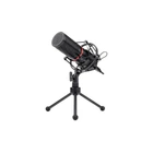 Мікрофон ragon Blazar GM300 USB (ek05096)