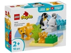 Конструктор LEGO DUPLO Сімейства диких тварин: Пінгвіни та Леви (10442)