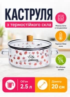 Стеклянная кастрюля с крышкой 2.5 л жаропрочная кастрюлька из термостойкого стекла Прозрачный с рисунком