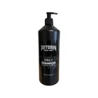 Щоденний чоловічій шампунь PerfomeN Daily Shampoo 250 мл