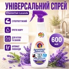 Універсальний спрей для чищення ChanteClair 600 мл Lavanda