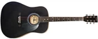 Акустична гітара MAXTONE WGC4010 (Black)