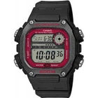 Чоловічий годинник CASIO DW-291H-1BVEF