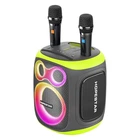 Колонка портативна Hopestar PARTY 130, з двома мікрофонами, Сірий