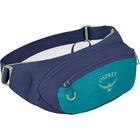 Сумка на пояс Osprey Daylite Waist Blue Spikemoss/Alkaline